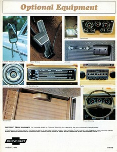 1969 Chevrolet Pickups-20.jpg